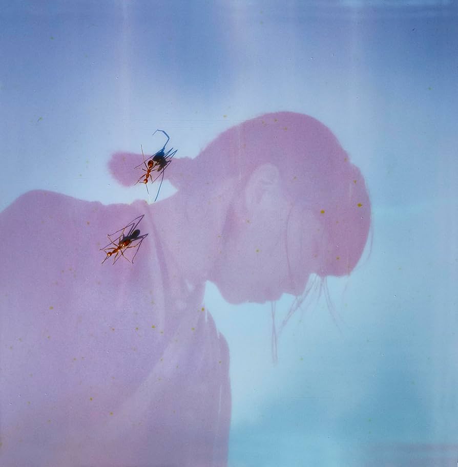 Amazon.co.jp: 映画「サンセット・サンライズ」オリジナル